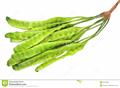 bitter bean